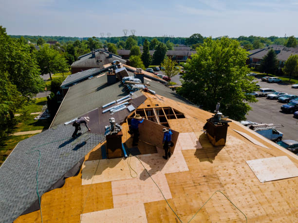 Quick and Trustworthy Emergency Roof Repair Services in Creve Coeur, MO